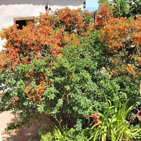 Casa El Peral Prázdninový dům *