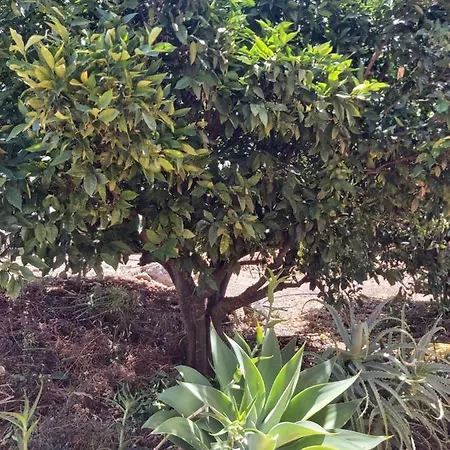 Casa vacanze Casa El Peral Puntagorda