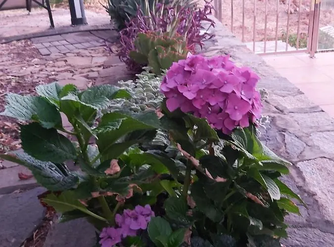 Casa El Peral بيت للعطل *