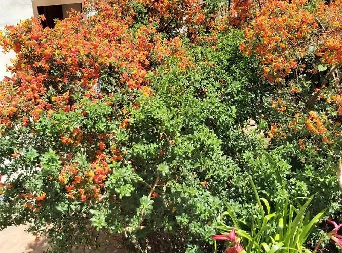 Casa El Peral بيت للعطل *